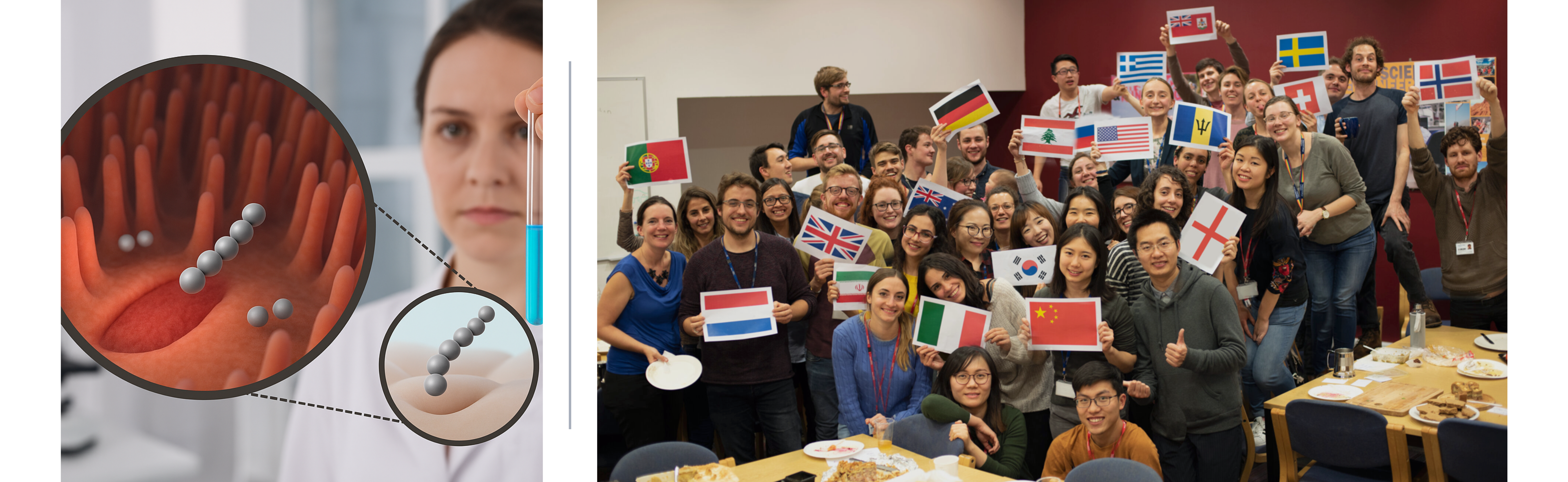 A collage featuring a female scientist holding a test tube on the left, and a photo of the Stevens Group on the right, with flags highlighting the group’s diversity. A collage featuring a female scientist holding a test tube on the left, and a photo of the Stevens Group on the right, with flags highlighting the group’s diversity.