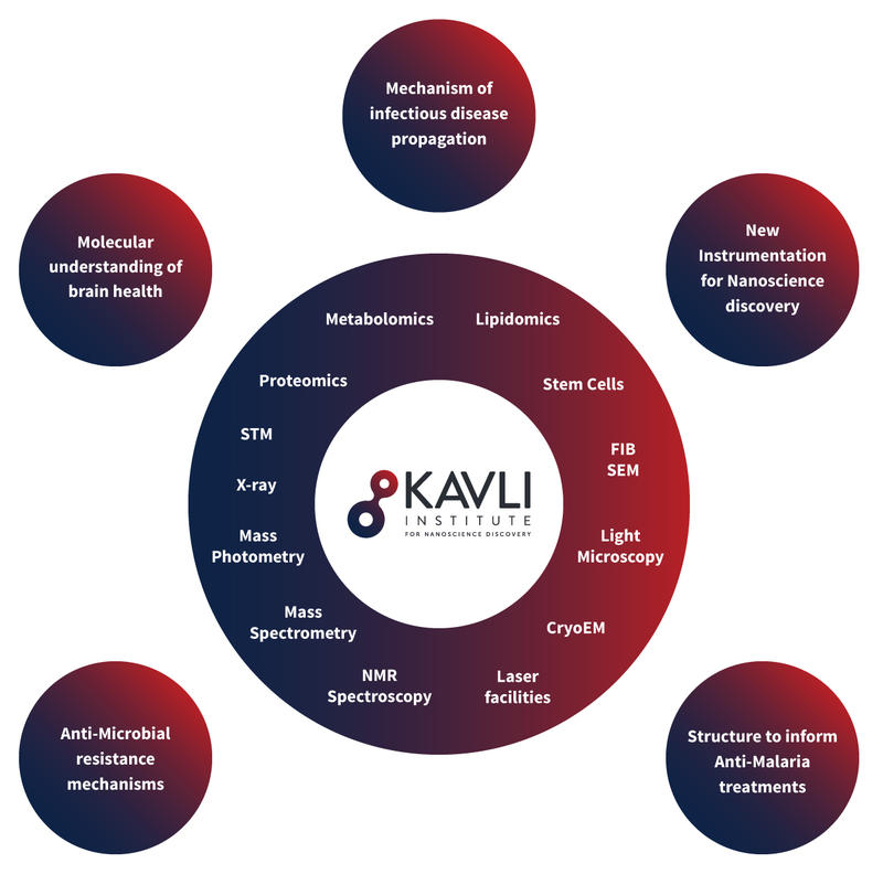 Kavli facilities infographics showing facilities found at Kavli. Metabolomics, Lipidomics, Stem cells, FIB SEM, Light Microscopy,CryoEM, Laser facilities,NMR Spectroscopy, Mass Spectrometry, Mass Photometry, X-Ray, STM, Proteomics