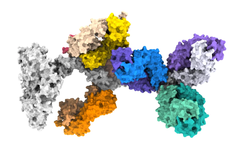 A colorful 3D molecular structure is shown on a white background, with multiple connected protein-like components rendered as textured surfaces in grey, yellow, orange, blue, purple, and teal.