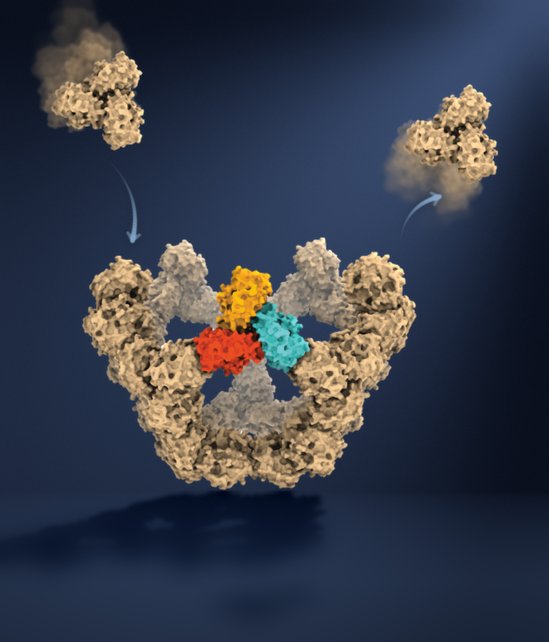 Scientific illustration of a viral particle assembling from protein subunits on a dark blue background.