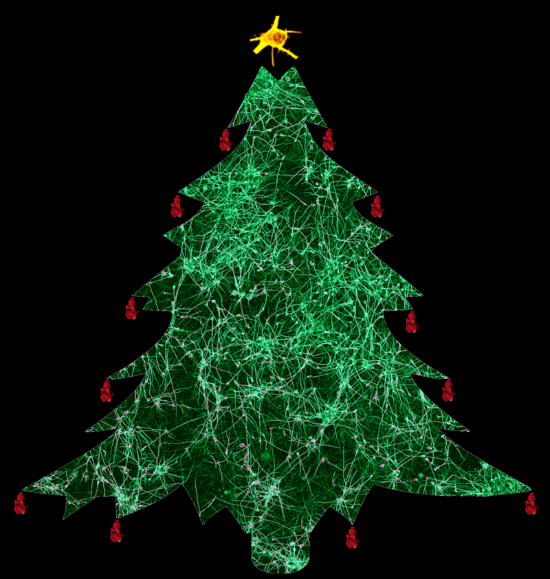 nick gatford oh christmas tree