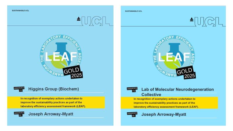 LEAF certificates of Higgins and Wade-Martins Groups