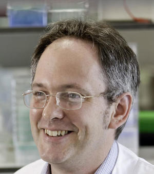 Profile Picture of Professor Richard Wade-Martins
