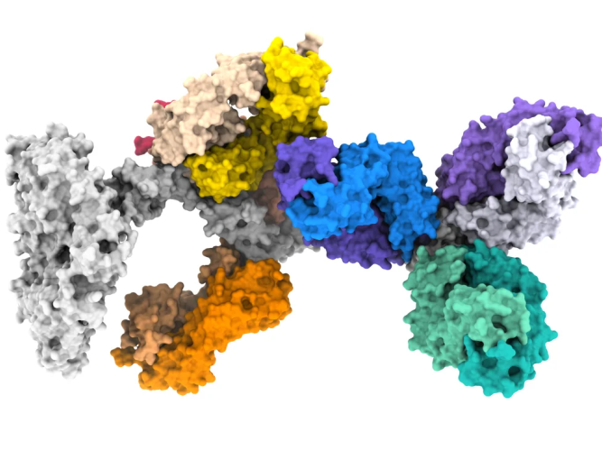 A colorful 3D molecular structure is shown on a white background, with multiple connected protein-like components rendered as textured surfaces in grey, yellow, orange, blue, purple, and teal.
