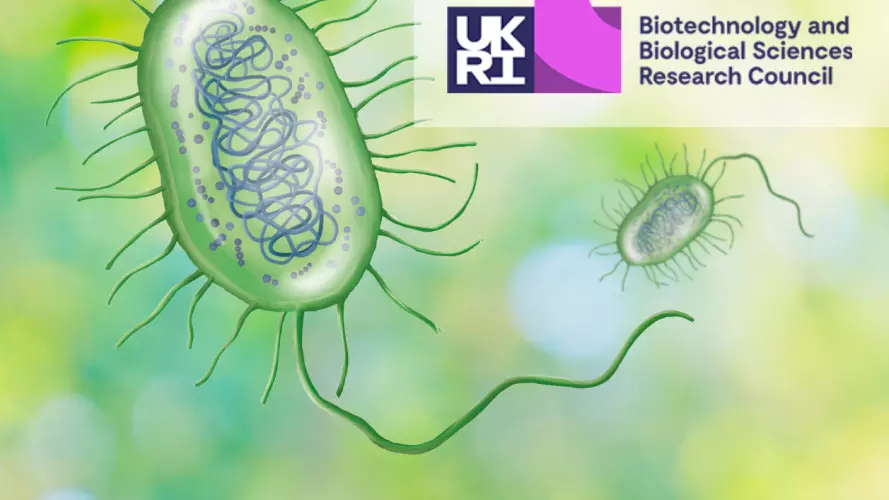 An illustration of Pseudomonas aeruginosa bacterium with the BBSRC logo