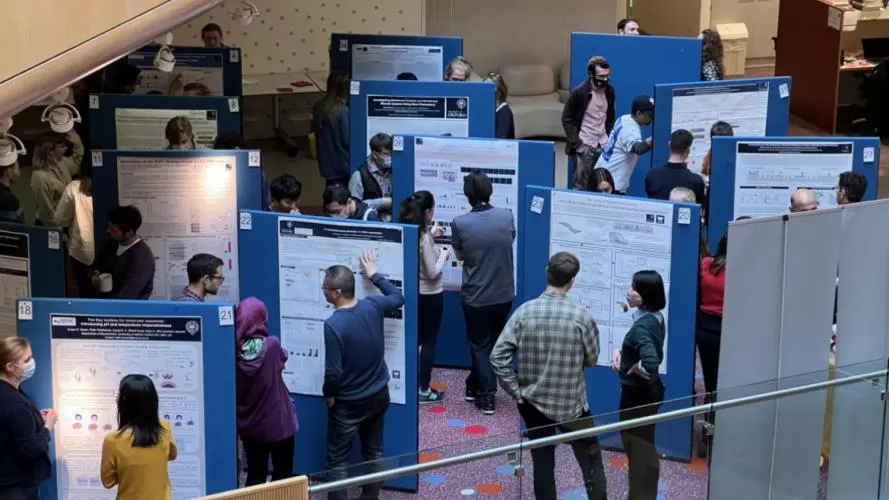 A wide angle image showing all post doc researchers attending the Poster Session.
