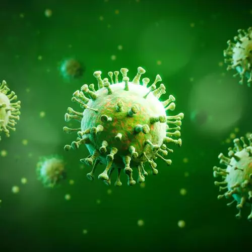 infection disease