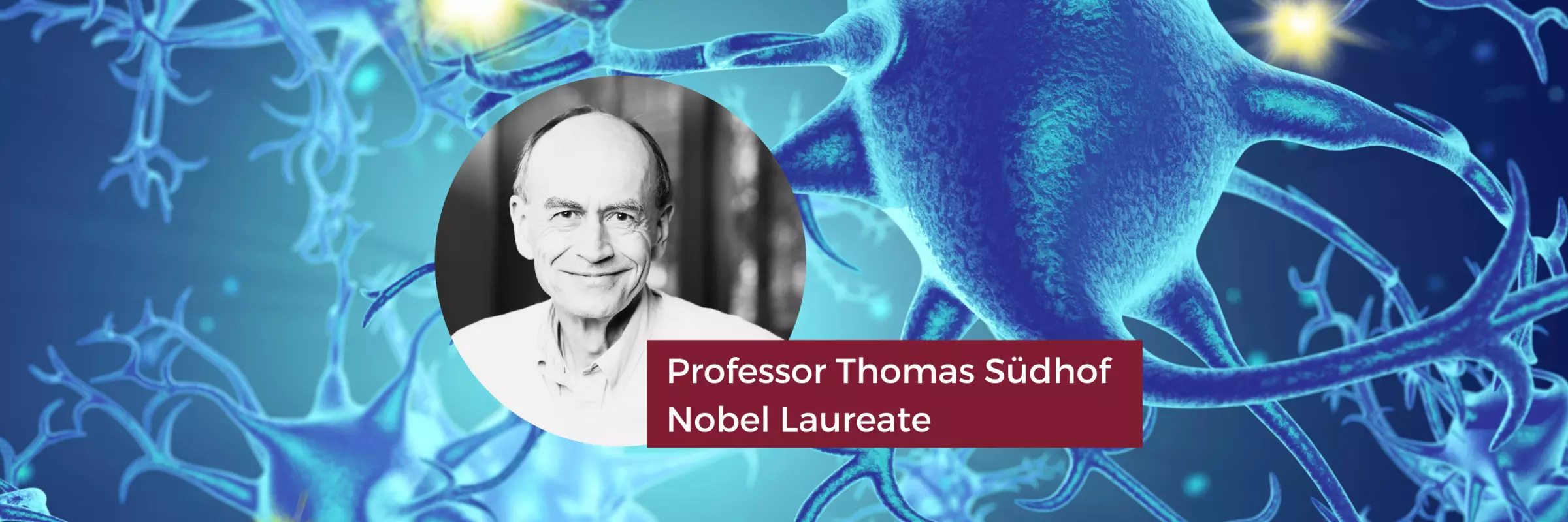 Neuroscience representative banner image.