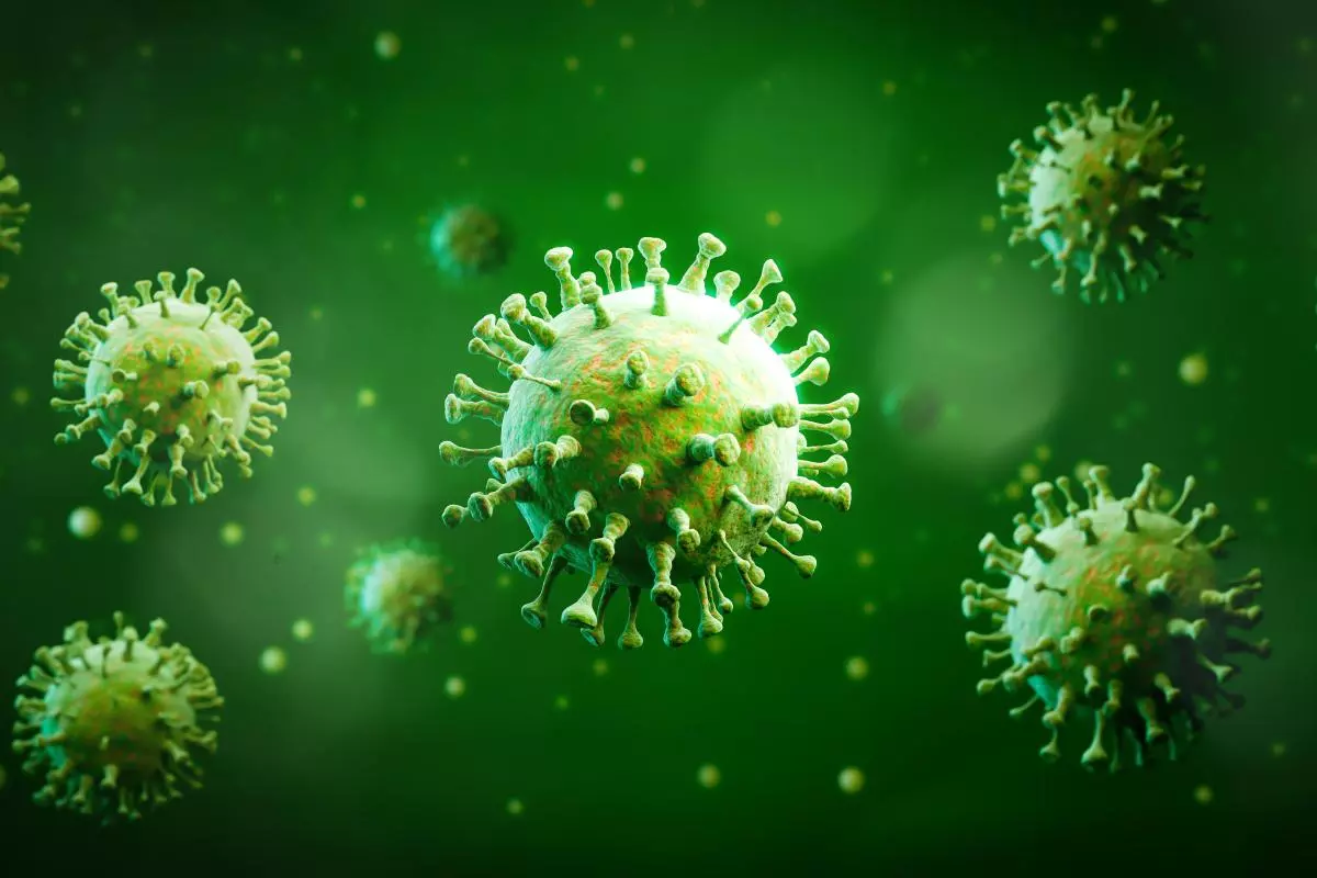 infection disease